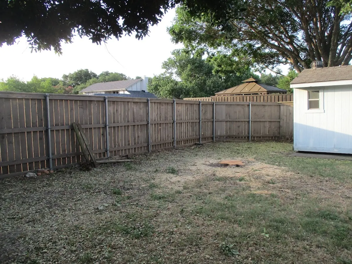 Cleared yard after professional tree removal in Honea Path